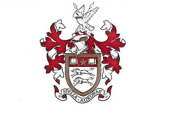 Stella Aurorae Accountants Logo